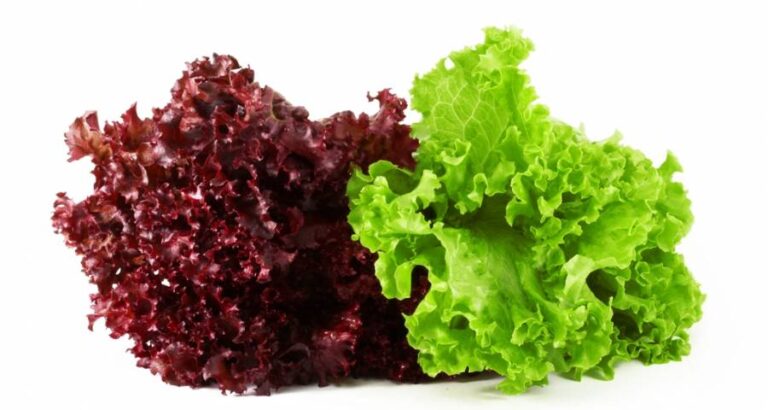 Ensaladas con todas las propiedades