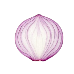 cebolla